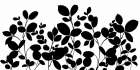 Leafy Grove Botanical Print