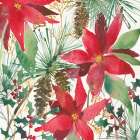 December Flowers Art Print