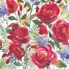 February Flowers Art Print