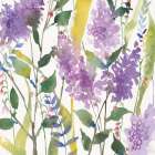 May Flowers Art Print