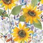 September Flowers Art Print