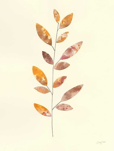 Natural Wonder V Nature Print