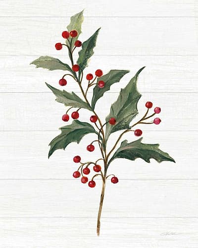 Christmas Moments IV No Banner White Art Print