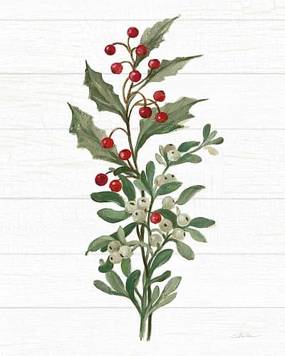 Christmas Moments V No Banner White Art Print