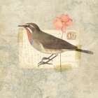 Traveler Bird II Art Print