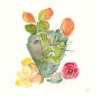 Succulent Desert III Art Print