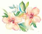 Pastel Garden Hibiscus Art Print