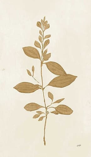 Botanical Study VIII Gold Art Print