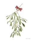 Peace and Joy Mistletoe Art Print