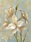 Amaryllis on Soft Blue Art Print