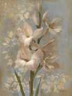 Gladiola on Blue Art Print