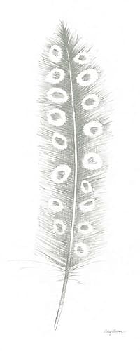 Feather Sketches VII Green Gray Art Print