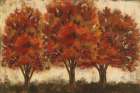 Glowing Trees Trio Art Print