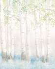 Soft Birches III Art Print
