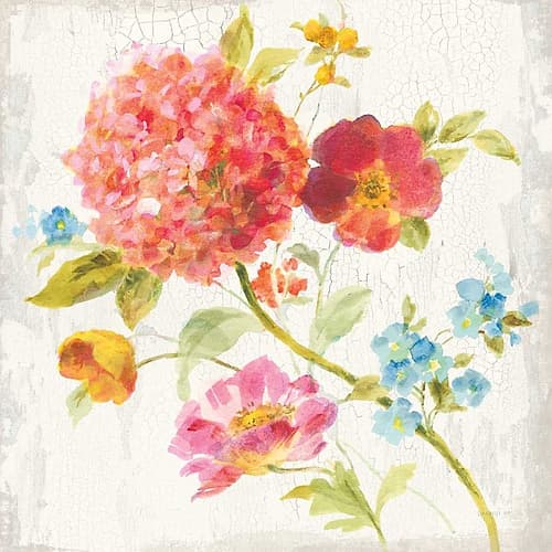Full Bloom IV Art Print