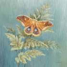 Natural Detail III Blue Art Print