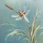 Natural Detail IV Blue Art Print