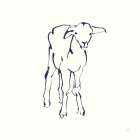 Line Lamb Navy Art Print