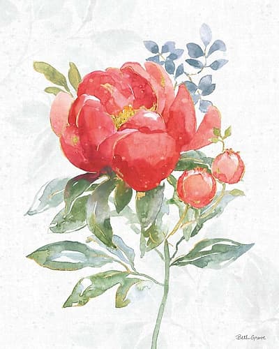 Floral Focus VII Art Print