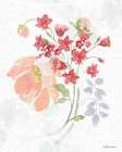 Floral Focus IX Art Print