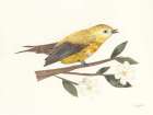 Birds and Blossoms I Art Print