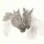 Nuzzling II Art Print
