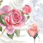 Boho Bouquet V Art Print by James Wiens