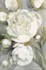 Favorite White Peonies Art Print