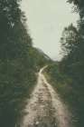 The Path We Followed Art Print