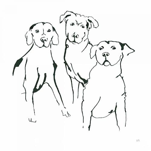 Lovable Mutts II Animaux reproduction