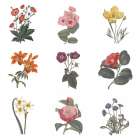 Monument Etching Tile Flowers Sq II White Art Print