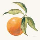 Le Orange on Cream Art Print