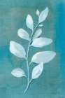 Cool Leaves I Art Print