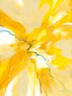 Sunburst Art Print