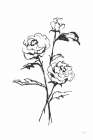 Line Ranunculus I Art Print