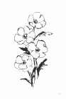 Line Anemone I Art Print