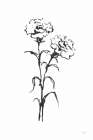 Line Carnation II Art Print