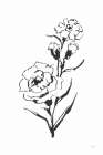 Line Carnation III Art Print
