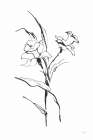 Line Daffodil Art Print
