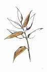 Leafed V Art Print