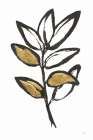 Leafed IX Art Print