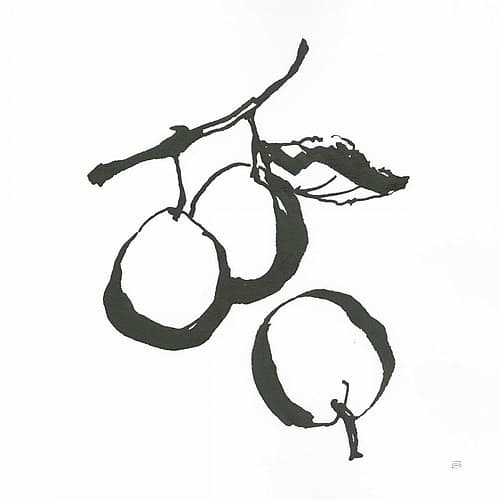 Plums II BW Food Print
