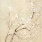 White Cherry Blossoms I Linen Crop Art Print