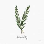 Herbs III White Art Print