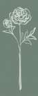Floral Line I Green Art Print