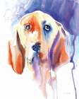 Basset Hound Art Print