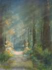 Sun Soaked Redwoods Art Print
