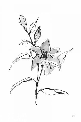 Wash Tiger Lily Art Print