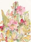 Cactus Blooms Art Print