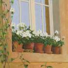 Chateau Creancey Window Light Sq Art Print